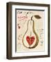 Poire III-Susan Gillette-Framed Giclee Print