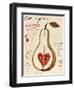 Poire III-Susan Gillette-Framed Giclee Print