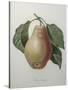 Poire Tarquin-Pierre-Joseph Redoute-Stretched Canvas