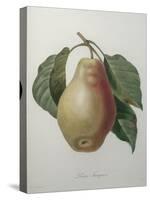 Poire Tarquin-Pierre-Joseph Redoute-Stretched Canvas