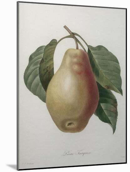 Poire Tarquin-Pierre-Joseph Redoute-Mounted Art Print