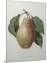 Poire Tarquin-Pierre-Joseph Redoute-Mounted Art Print