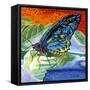 Poised Butterfly II-Carolee Vitaletti-Framed Stretched Canvas