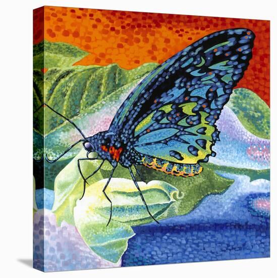 Poised Butterfly II-Carolee Vitaletti-Stretched Canvas