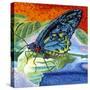 Poised Butterfly II-Carolee Vitaletti-Stretched Canvas