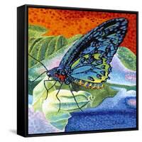 Poised Butterfly II-Carolee Vitaletti-Framed Stretched Canvas