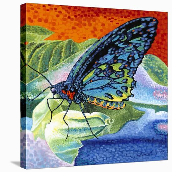 Poised Butterfly II-Carolee Vitaletti-Stretched Canvas