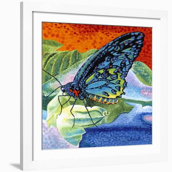 Poised Butterfly II-Carolee Vitaletti-Framed Art Print