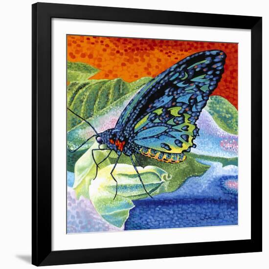 Poised Butterfly II-Carolee Vitaletti-Framed Art Print