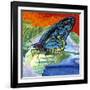 Poised Butterfly II-Carolee Vitaletti-Framed Art Print