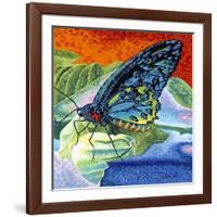 Poised Butterfly II-Carolee Vitaletti-Framed Art Print