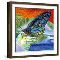 Poised Butterfly II-Carolee Vitaletti-Framed Art Print