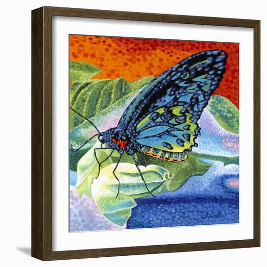 Poised Butterfly II-Carolee Vitaletti-Framed Art Print