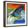 Poised Butterfly II-Carolee Vitaletti-Framed Art Print