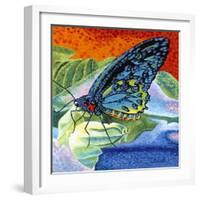 Poised Butterfly II-Carolee Vitaletti-Framed Art Print