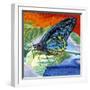 Poised Butterfly II-Carolee Vitaletti-Framed Art Print