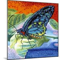 Poised Butterfly II-Carolee Vitaletti-Mounted Art Print