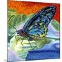 Poised Butterfly II-Carolee Vitaletti-Mounted Art Print