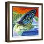 Poised Butterfly II-Carolee Vitaletti-Framed Art Print