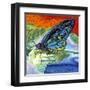 Poised Butterfly II-Carolee Vitaletti-Framed Art Print