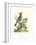 Poised in Nature III-George Edwards-Framed Art Print