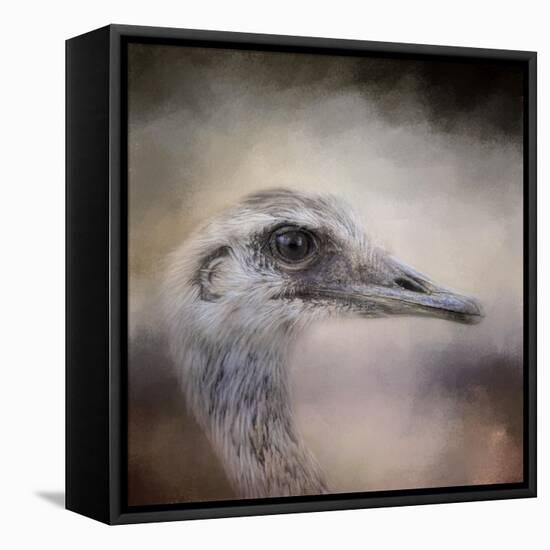 Poised Ostrich-Jai Johnson-Framed Stretched Canvas