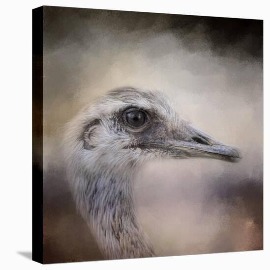 Poised Ostrich-Jai Johnson-Stretched Canvas