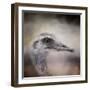 Poised Ostrich-Jai Johnson-Framed Giclee Print