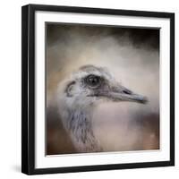 Poised Ostrich-Jai Johnson-Framed Giclee Print