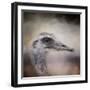 Poised Ostrich-Jai Johnson-Framed Giclee Print