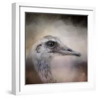 Poised Ostrich-Jai Johnson-Framed Giclee Print