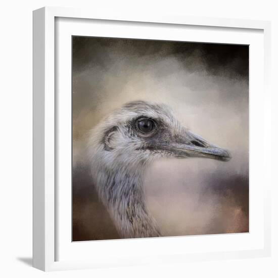 Poised Ostrich-Jai Johnson-Framed Giclee Print