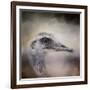 Poised Ostrich-Jai Johnson-Framed Giclee Print