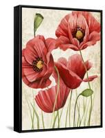 Poised Poppy I-Grace Popp-Framed Stretched Canvas