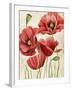 Poised Poppy I-Grace Popp-Framed Art Print