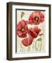 Poised Poppy I-Grace Popp-Framed Art Print