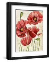 Poised Poppy I-Grace Popp-Framed Art Print