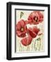 Poised Poppy I-Grace Popp-Framed Art Print