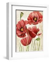 Poised Poppy I-Grace Popp-Framed Art Print