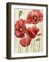 Poised Poppy I-Grace Popp-Framed Art Print