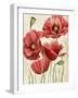 Poised Poppy I-Grace Popp-Framed Art Print