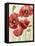 Poised Poppy I-Grace Popp-Framed Stretched Canvas