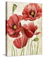 Poised Poppy I-Grace Popp-Stretched Canvas