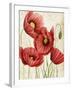 Poised Poppy II-Grace Popp-Framed Art Print