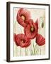 Poised Poppy II-Grace Popp-Framed Art Print