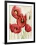 Poised Poppy II-Grace Popp-Framed Art Print