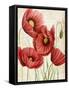 Poised Poppy II-Grace Popp-Framed Stretched Canvas