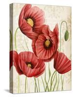 Poised Poppy II-Grace Popp-Stretched Canvas