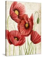 Poised Poppy II-Grace Popp-Stretched Canvas