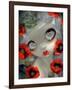 Poisonous Beauties III: Opium Poppy-Jasmine Becket-Griffith-Framed Art Print